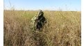 Маскировочный халат Taganrog Кикимора – купить по цене 3550 руб. в интернет-магазине в городе Самара картинка 13